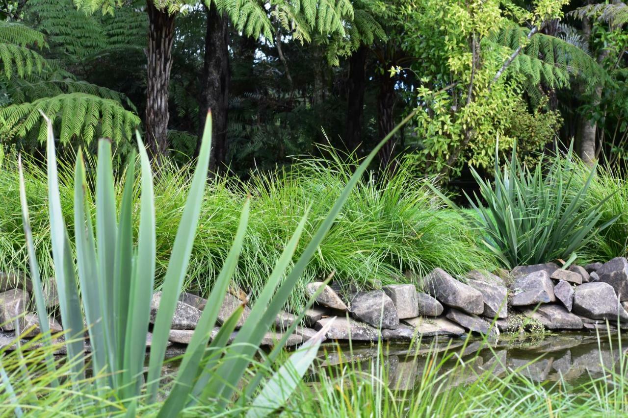 Atea Lodge Coromandel 外观 照片